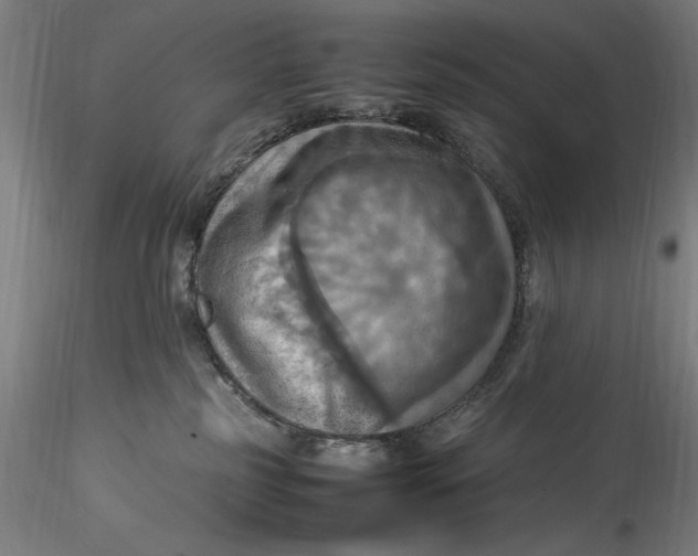 X0000115560185200911271505