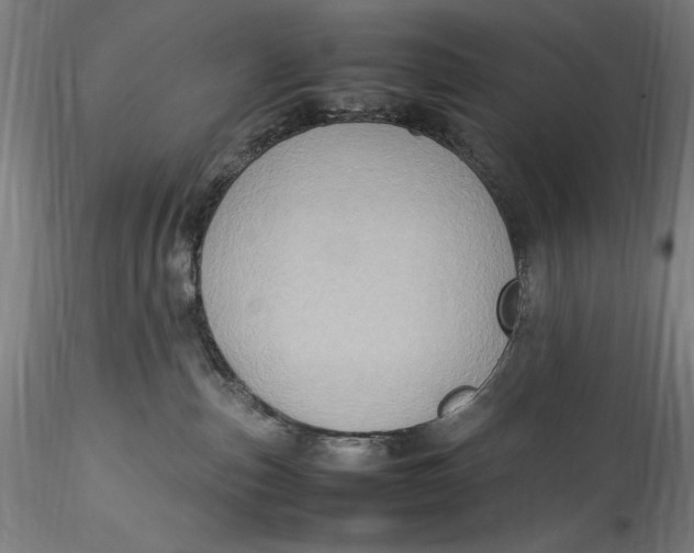 X0000115560187200911271505