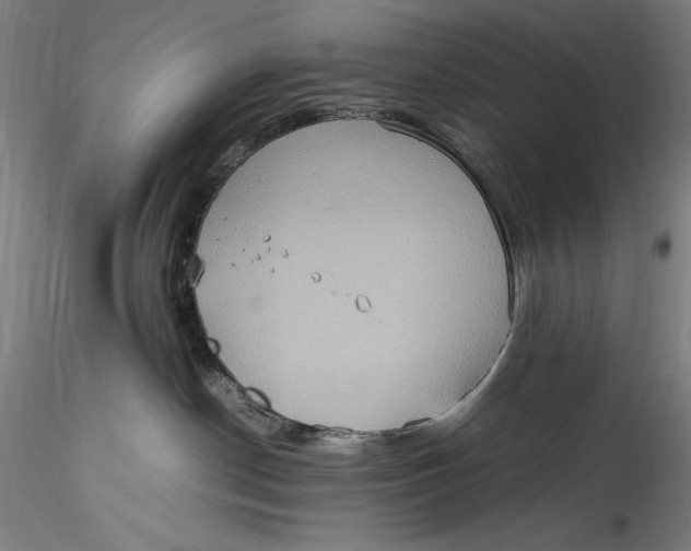 X0000115560190200911271505