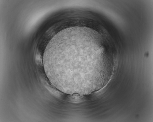 X0000115560191200911271505