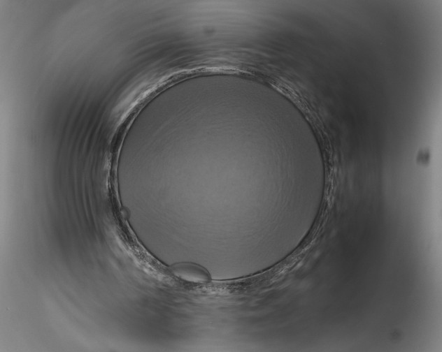 X0000115560194200911271505