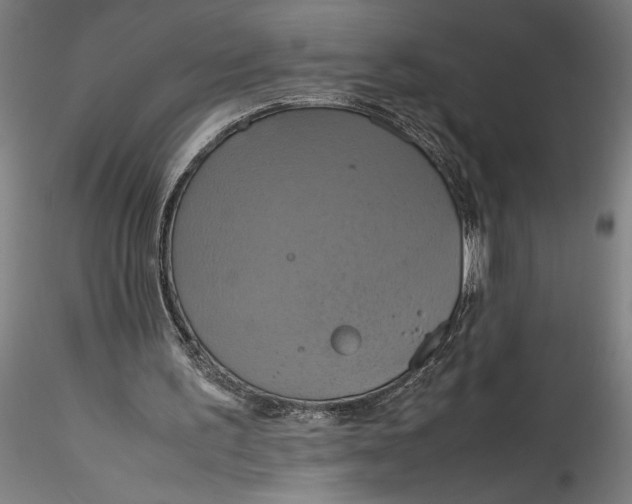 X0000115560195200911271505