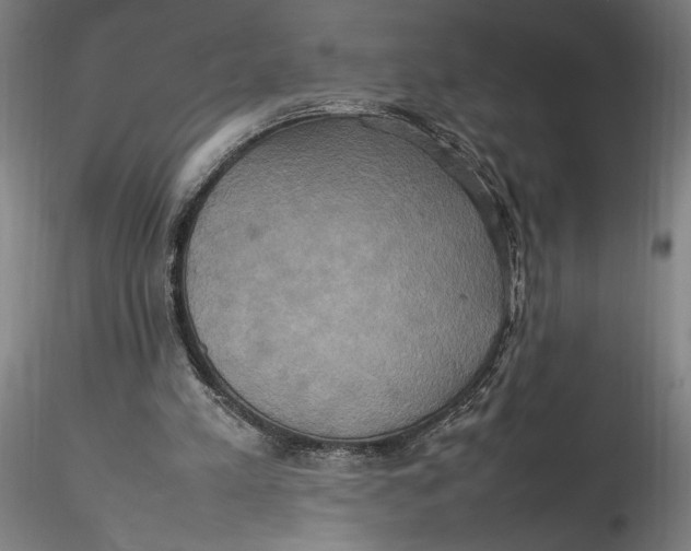 X0000115560197200911271505