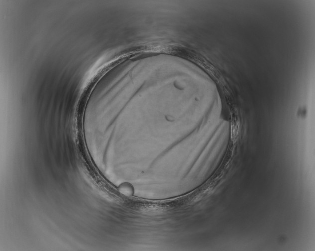 X0000115560198200911271505