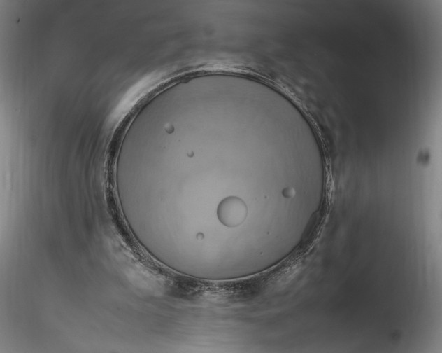 X0000115560199200911271504