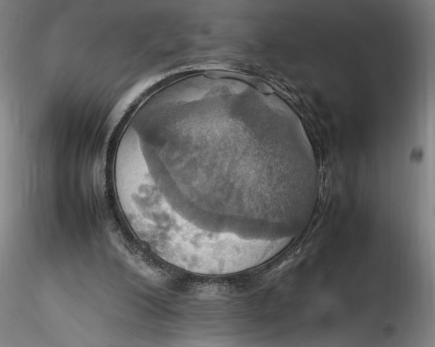 X0000115560200200911271504