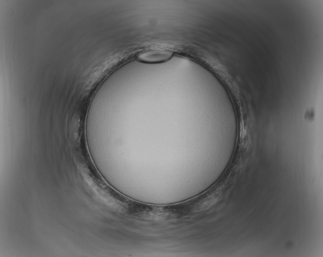 X0000115560201200911271504