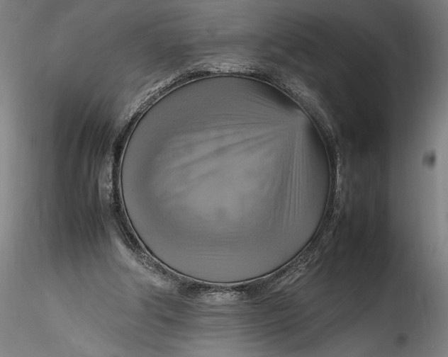 X0000115560202200911271504