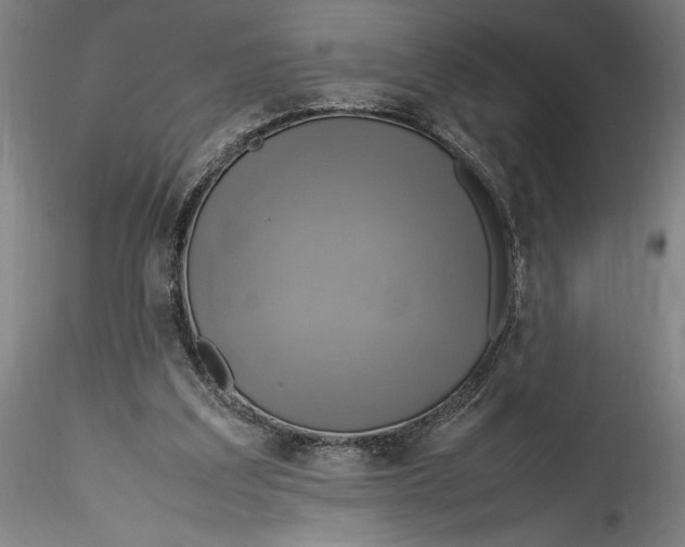 X0000115560203200911271504