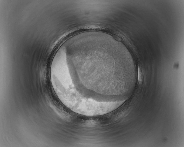 X0000115560204200911271504