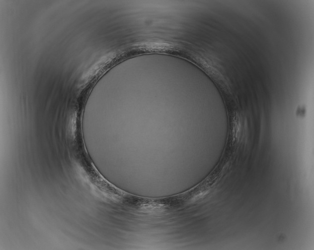 X0000115560206200911271504