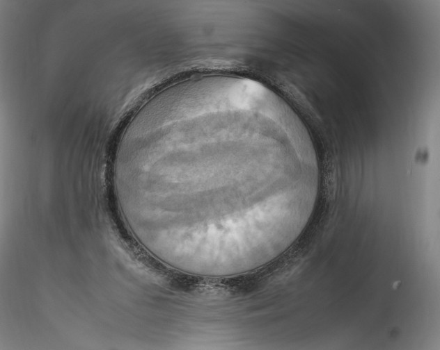 X0000115560207200911271504