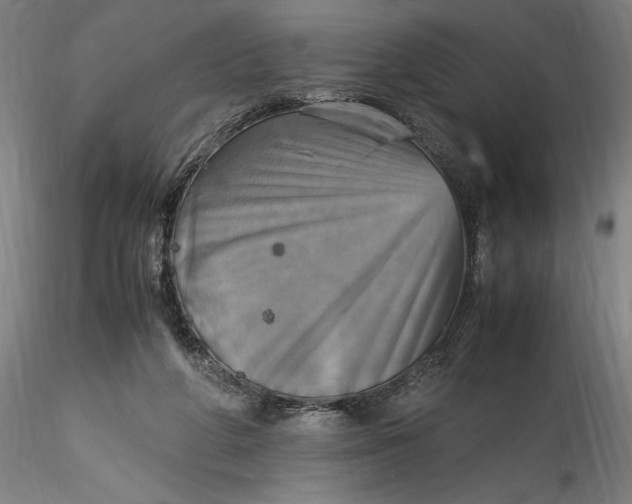 X0000115560210200911271504