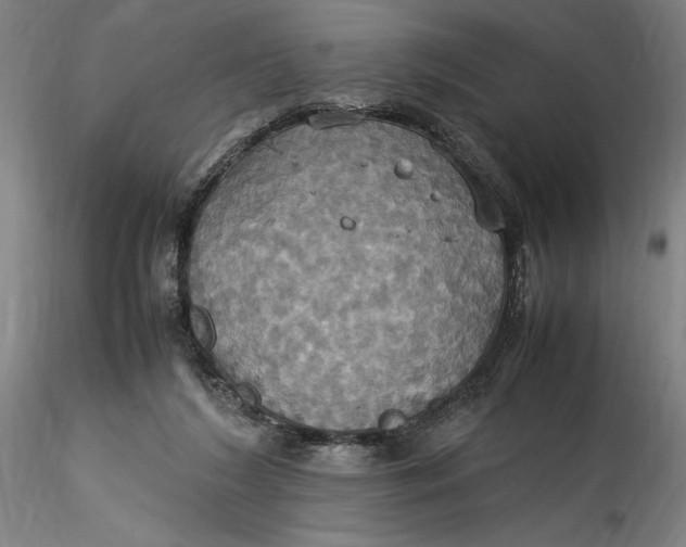 X0000115560212200911271504