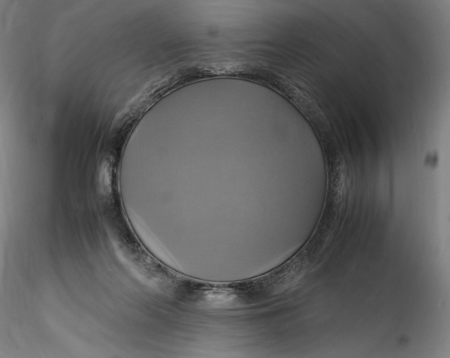 X0000115560214200911271504