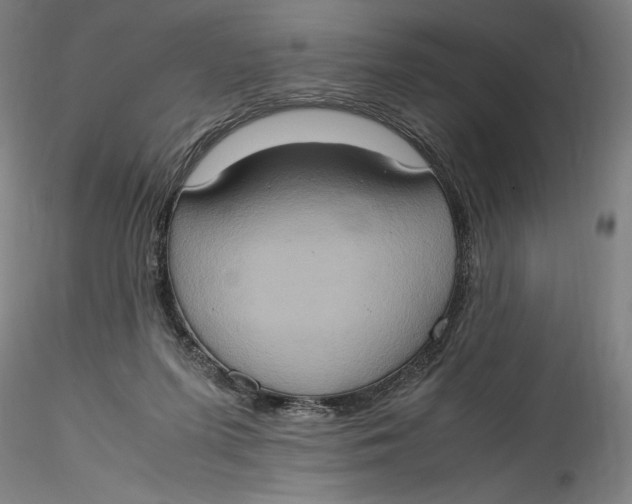 X0000115560215200911271504