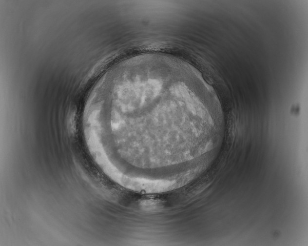 X0000115560216200911271504