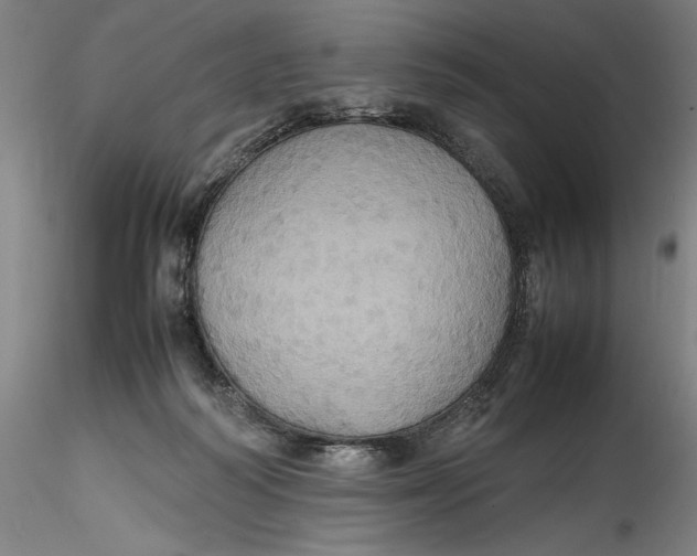 X0000115560218200911271504