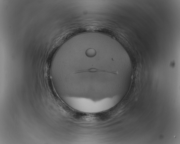 X0000115560219200911271504