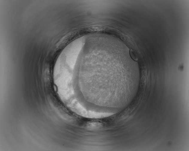 X0000115560220200911271504