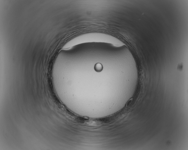 X0000115560221200911271504