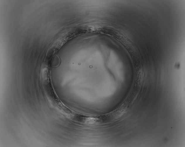 X0000115560222200911271504