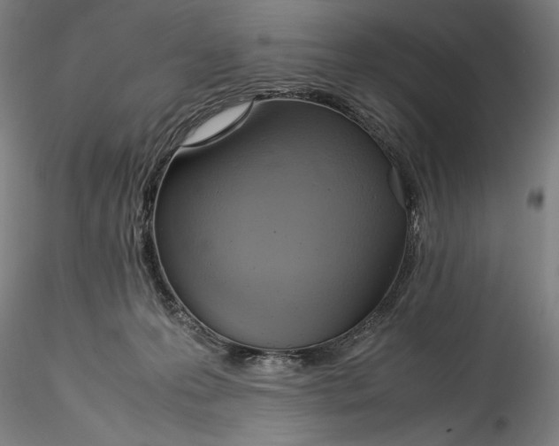 X0000115560223200911271504