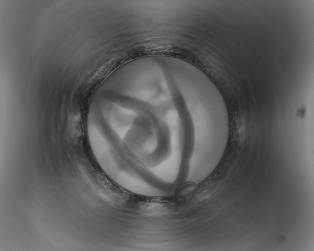 X0000115560224200911271504