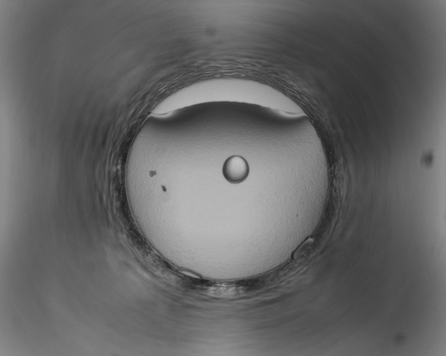 X0000115560225200911271504