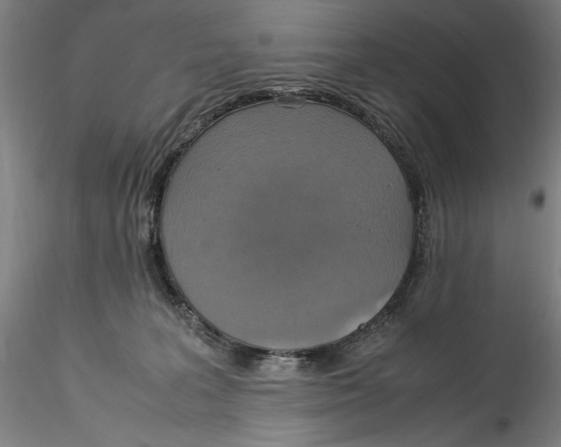 X0000115560227200911271504