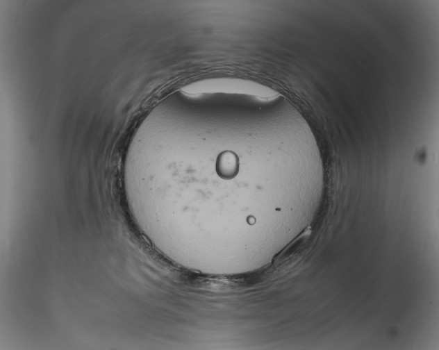 X0000115560229200911271504