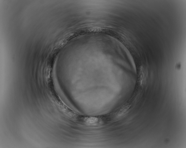 X0000115560230200911271504