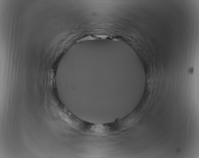 X0000115560231200911271504