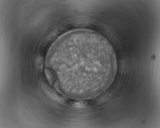 X0000115560232200911271504