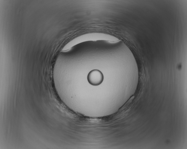 X0000115560233200911271504