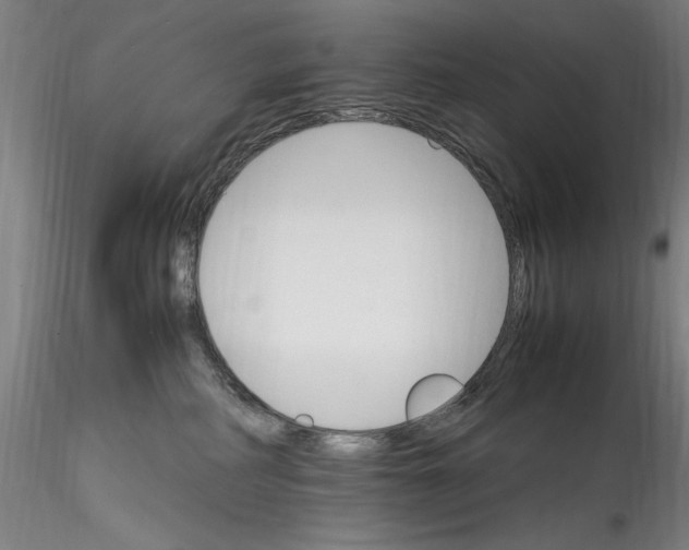 X0000115560234200911271504