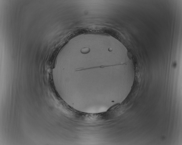 X0000115560235200911271504