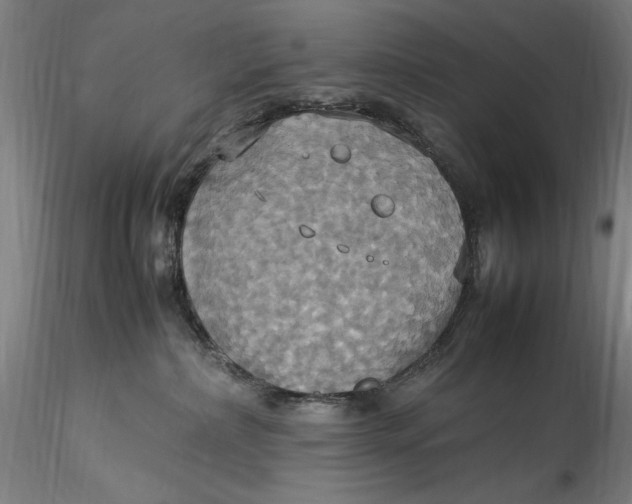 X0000115560236200911271504