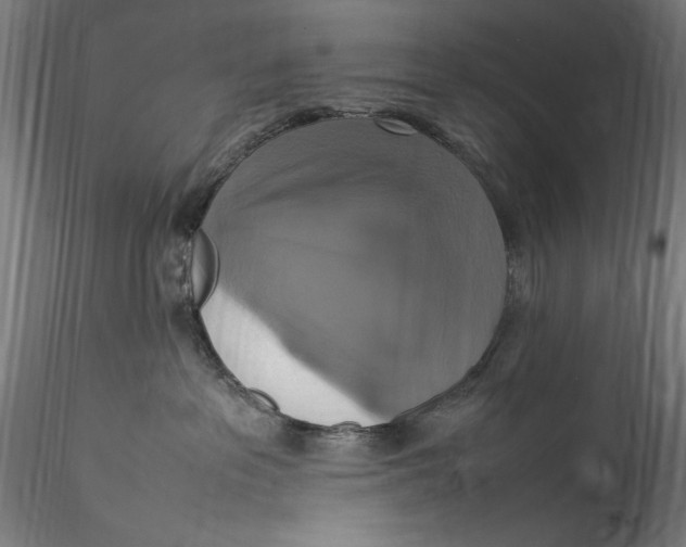 X0000115560237200911271504