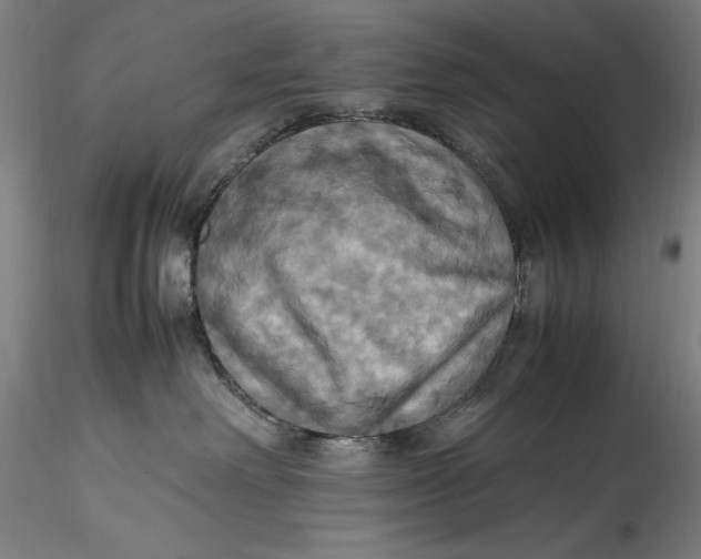 X0000115560238200911271504