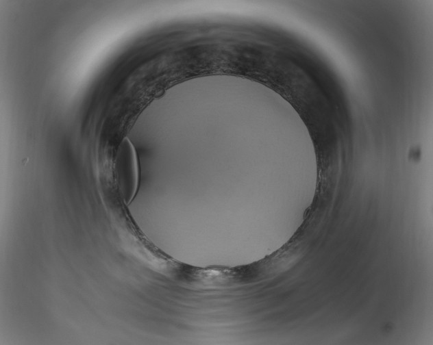 X0000115560239200911271504