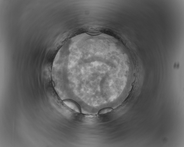 X0000115560240200911271504