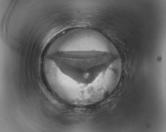 X0000115560242200911271503