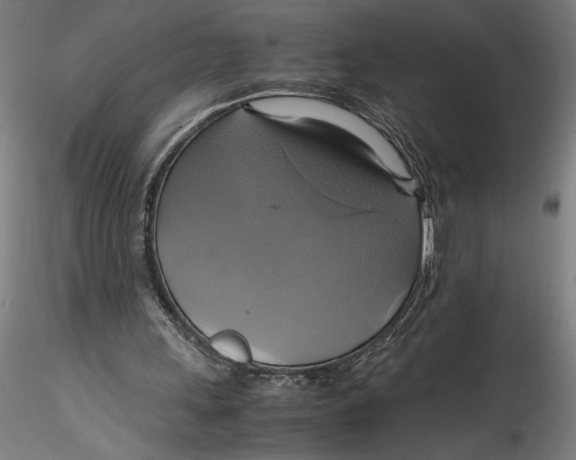 X0000115560243200911271503