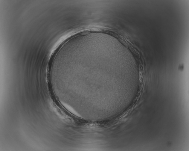 X0000115560244200911271503