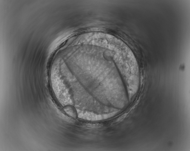 X0000115560245200911271503