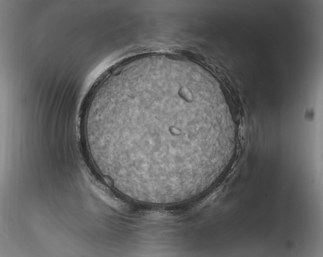 X0000115560246200911271503