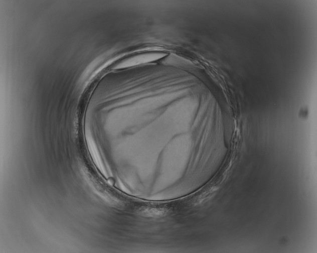 X0000115560247200911271503