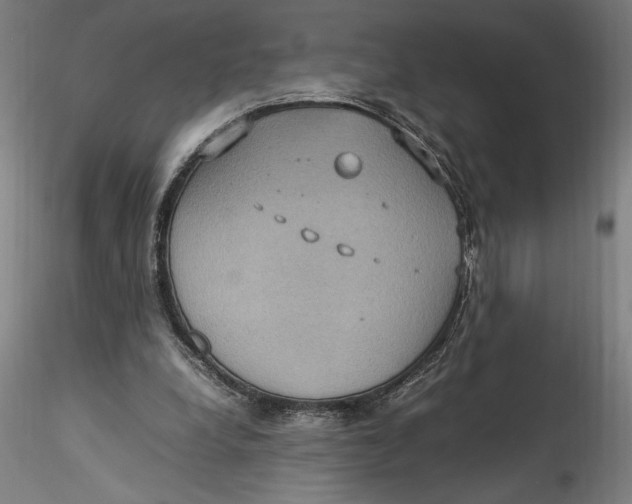 X0000115560248200911271503