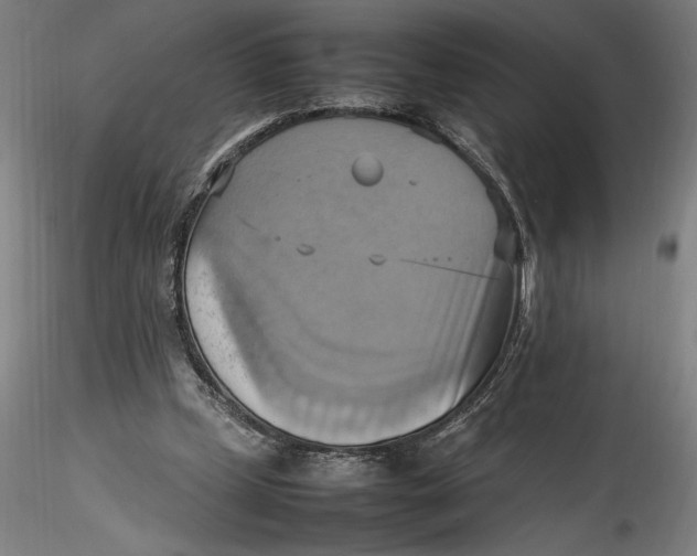 X0000115560249200911271503